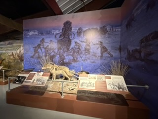 Native American travois transport exhibit