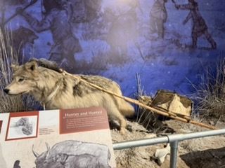 Travois and Native goods display