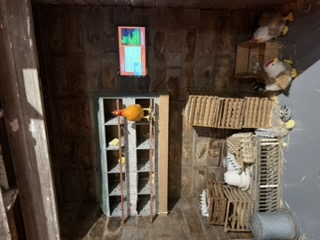 Chicken quiz — question one