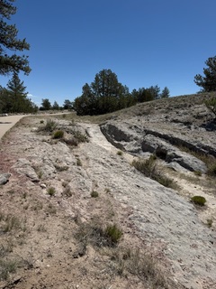 Looking along the rut line