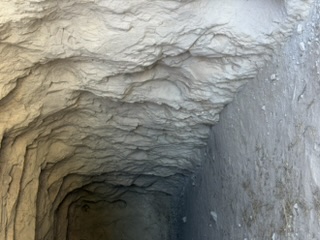 Pioneer inscriptions at Register Cliff