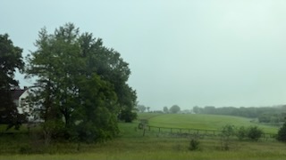 Rolling green Kentucky fields — Horse Capital of the World