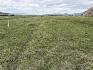 Ruts stretching across the landscape