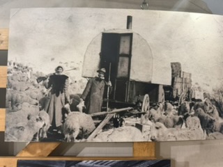 Sheepherding exhibit
