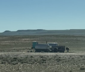 Shepherd wagon with horse nearby