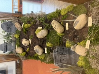 Potato diseases display at the Idaho Potato Museum
