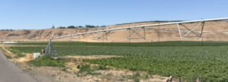 Irrigated fields near Glenns Ferry