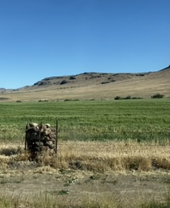 Rock marking along the Oregon Trail back roads