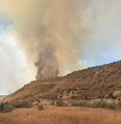 Grass fire area near Vale Oregon
