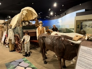 Pioneer covered wagon — smaller than expected