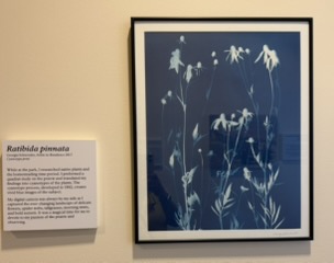 Artist-in-residence work at the Homestead park